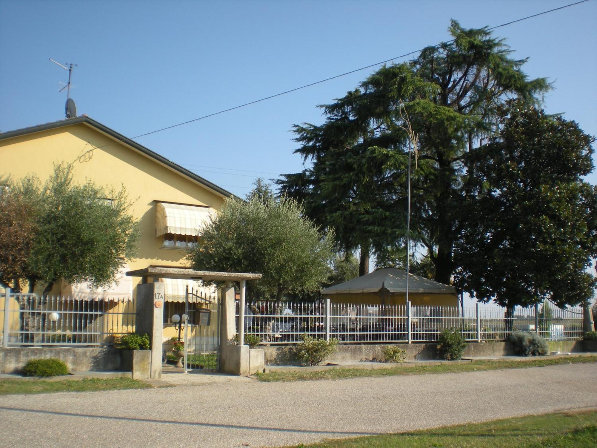 Solidea
